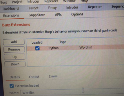 BurpSuite